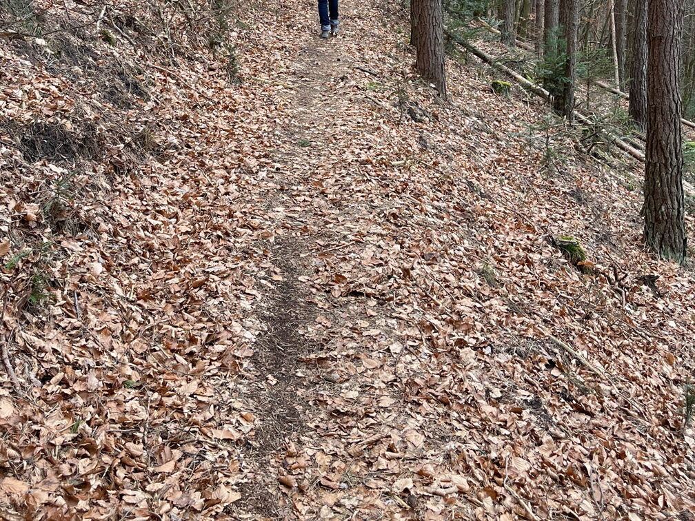 23-02-26 11-48-29 4349